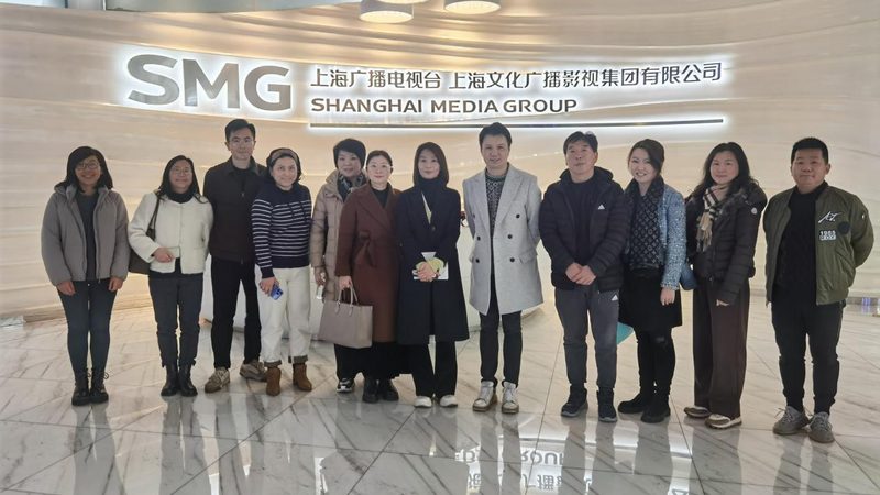 上海VI设计全套服务内容揭秘：全方位塑造品牌形象