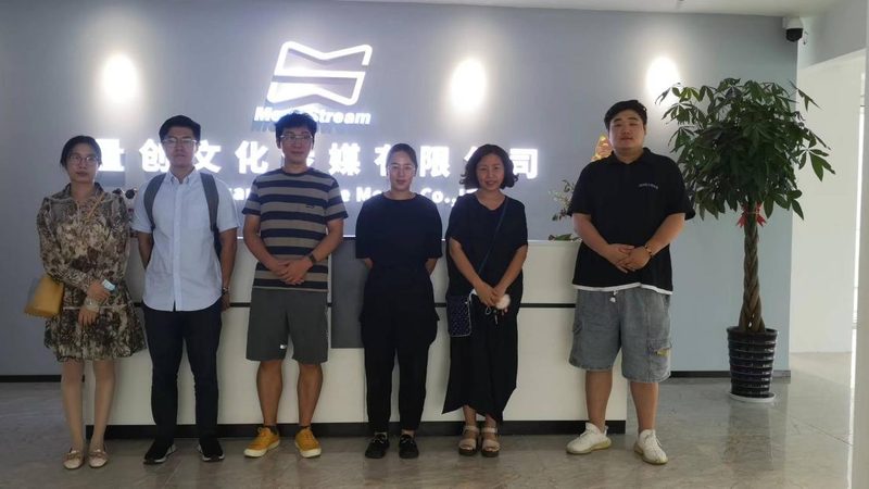 影视传媒公司分类揭秘：探寻差异背后的秘密
