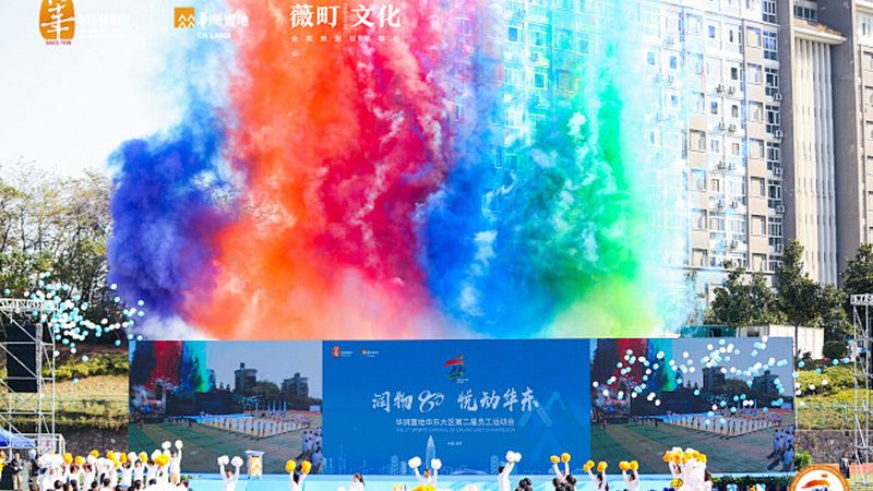 品牌设计与平面设计：本质差异与应用场景